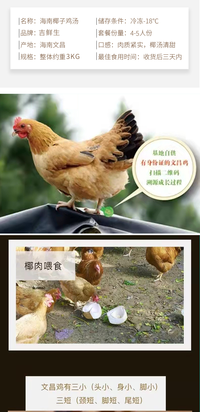 【国内贸易】海南椰子鸡全套配料火锅鸡汤新鲜文昌母鸡散养整只蘸料(图7)