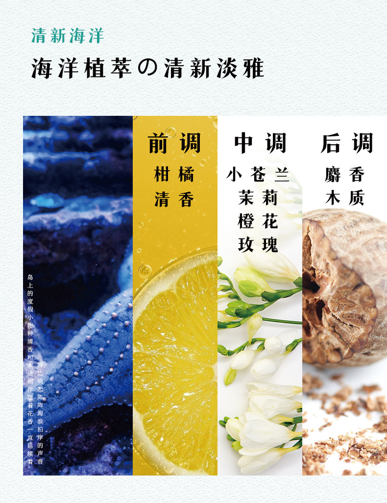 【国内贸易】日本蜜梨海洋系列洁净头皮清洁秀发自然海星滋养护发 500ml(图10)