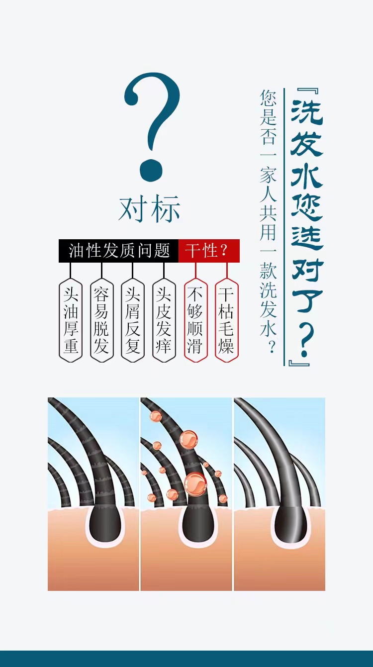 【国内贸易】索肤特高端系列 梦呈侧柏叶丝柔洗发露480ML（干性发质专用)(图2)